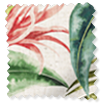 Cedella Tropical 見本の写真