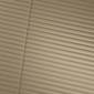 サムネイル写真